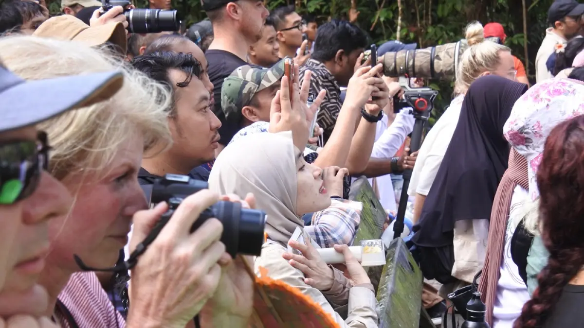 Wisatawan mancanegara dan domestik sedang menyaksikan orangutan di Taman Nasional Tanjung Putting awal Juli 2026 lalu.&nbsp;(Heru Prayitno/Radar Sampit)