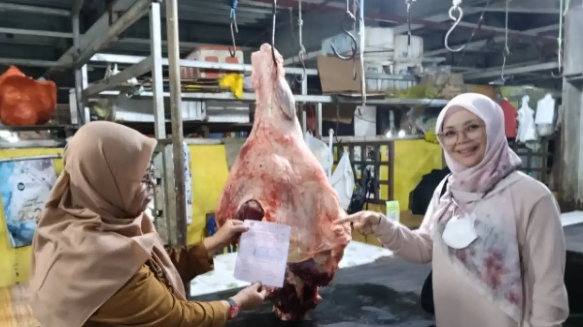 Dinas Pertanian Kabupaten Kotawaringin Barat melakukan pengawasan peredaran daging di Pasar Indra Sari, Pangkalan Bun, Rabu 26 Agustus 2026. (ist)&nbsp;