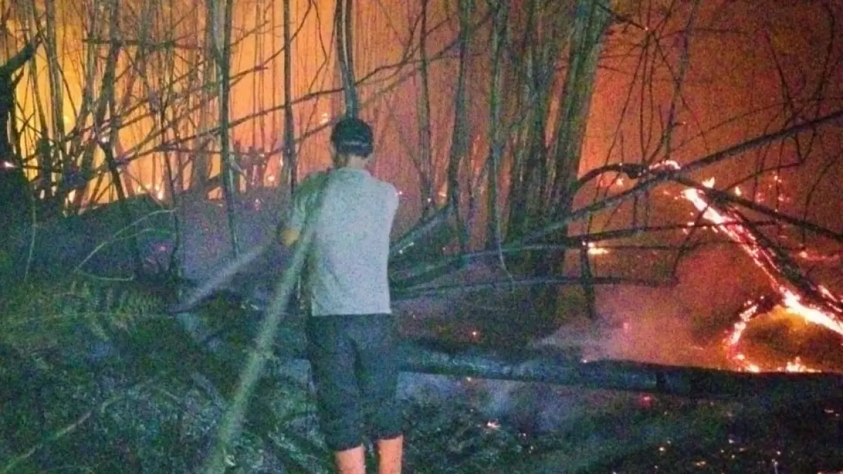 Kebakaran lahan dan hutan di Desa Penopa baru baru ini. (Ria/Radar Sampit)&nbsp;