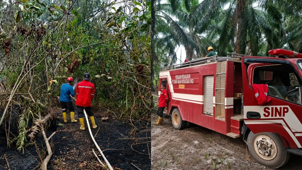  PT Astra Agro Lestari Tbk (Astra Agro) melalui PT Surya Indah Nusantara Pagi (SINP) dan PT Persada Bina Nusantara Abadi (PBNA) saat melakukan upaya pemadaman karhutla di Arut Utara. (Dok.Astra Agro)
