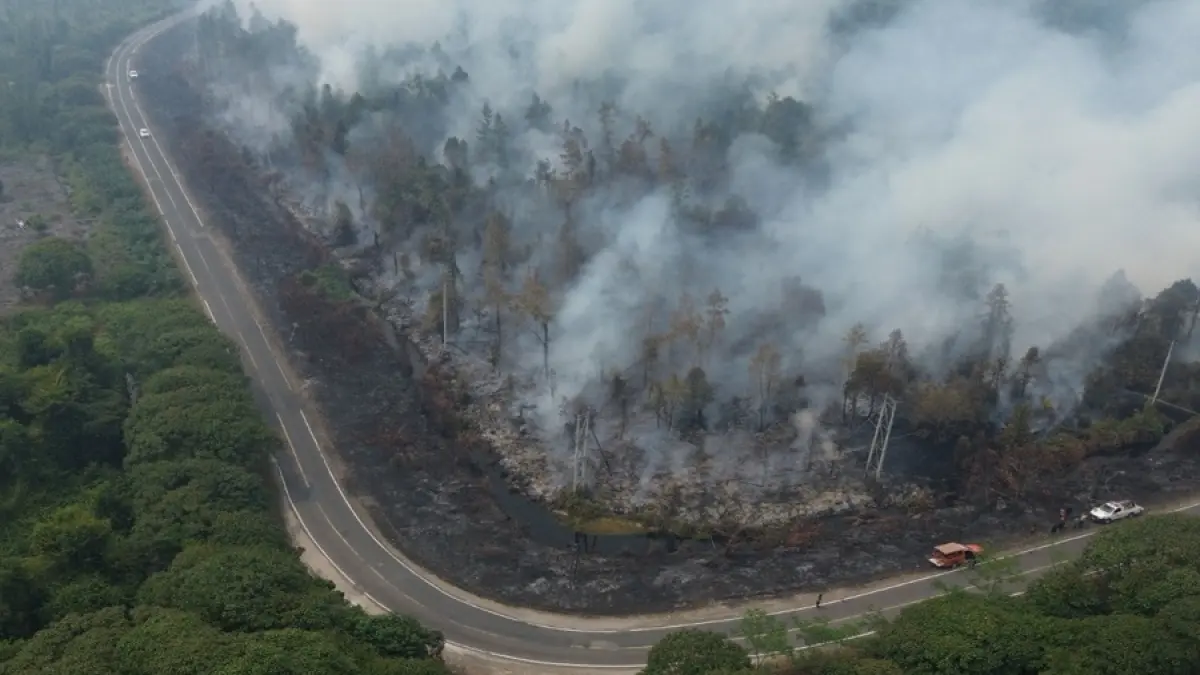 Kebakaran hutan dan lahan di Kalteng Tahun 2026. (Pritendie/2026) 