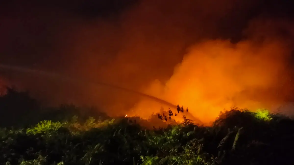 Kebakaran hutan dan lahan (karhutla) kembali terjadi di kawasan Jalan Cilik Riwut KM 7–8, Kabupaten Kotawaringin Timur (Kotim), Senin (24/8/2026) malam.