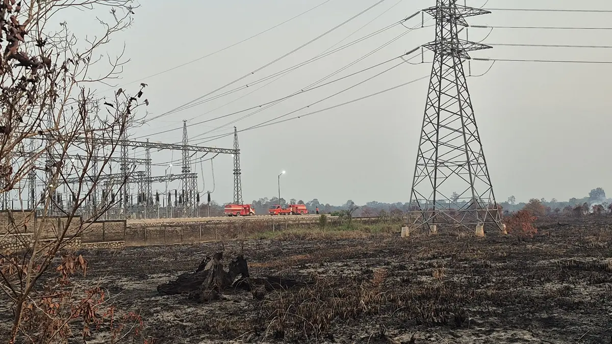 Kebakaran lahan eks persawahan Desa Kujan, Kecamatan Bulik, Kabupaten Lamandau, Kalteng. (Ria Mekar/Radar Sampit)