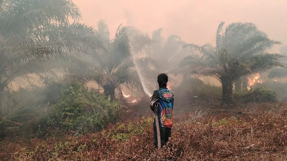 Kebakaran lahan terjadi di Desa Baun Bango, Kecamatan Kamipang, Kabupaten Katingan, Kalimantan Tengah. (Dodi/Radar Sampit)