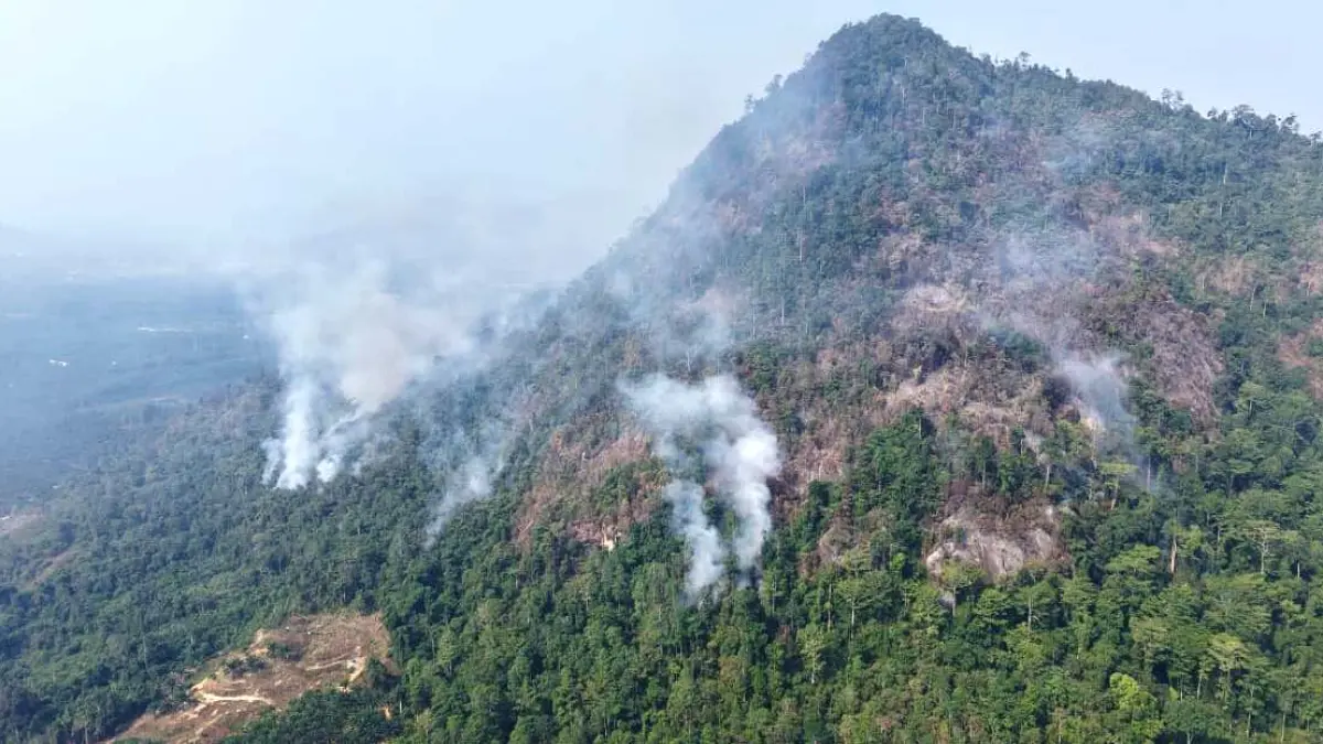 Asap karhutla yang muncul di Bukit Nolungan di Kecamatan Bulik Timur sejak Jumat (28/8), dan sulit untuk dipadamkan melalui jalur darat karena sulitnya medan.(istimewa)