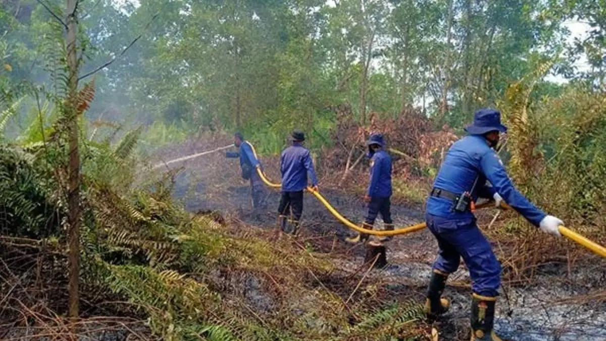 ILUSTRASI: Petugas sedang melakukan pemadaman api Karhutla di Kotawaringin Timur. (IST/RADAR SAMPIT)