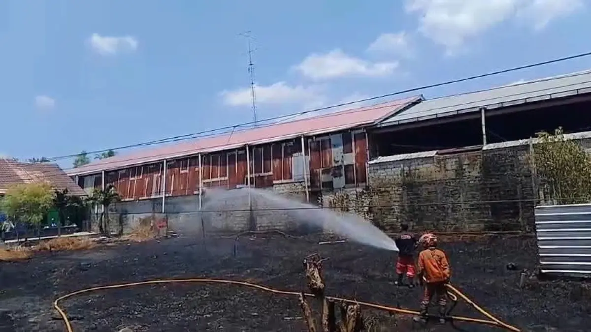 Kebakaran lahan hanya terhalang oleh tembok di Jalan HM Rafii, Desa Pasir Panjang, belakang Gereja Shinta, Minggu 30 Agustus 2026. (ist) 