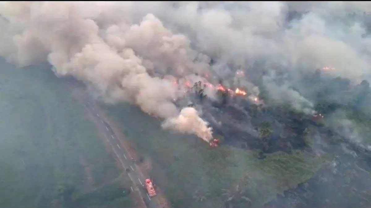 BAHAYA: Kepulan asap Karhutla di  sekitar kawasan Jalan Desa Tanjung Putri, Kecamatan Arut Selatan, Kabupaten Kotawaringin Barat, Selasa (1/9/2026). (istimewa/warga)