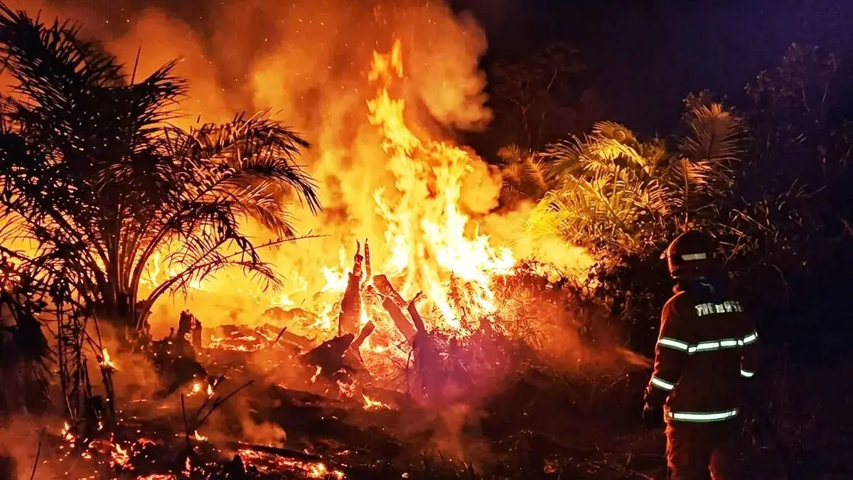ILUSTRASI: Seorang petugas pemadam kebakaran berdiri memantau kobaran api di dekat pohon yang terbakar akibat Karhutla di malam hari. FOTO: DOK/RADAR SAMPIT 