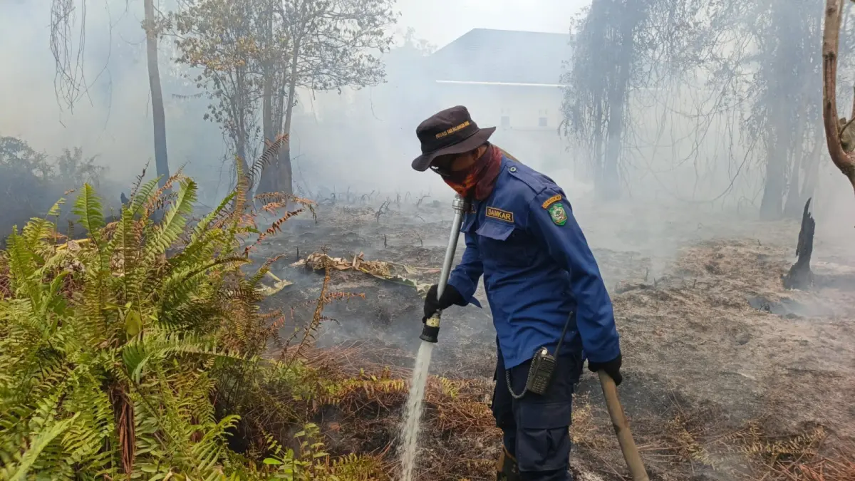 Kebakaram lahan yang melanda lahan kosong di dekat permukiman warga di Kecamatan Mentawa Baru Ketapang, Kabupaten Kotawaringin Timur, belum lama ini. (Disdamkarmat Kotim)&nbsp;