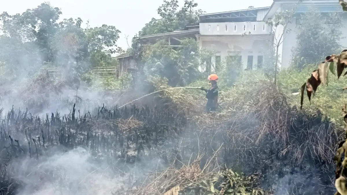 Kobaran api merambat dari kawasan Km 10 Jalan Tjilik Riwut hingga memasuki area perkebunan dan mendekati permukiman warga di Jalan Jaksa Agung Soeprapto, Sampit, Rabu (2/9/2026) siang. (Abdy/Radar Sampit)
