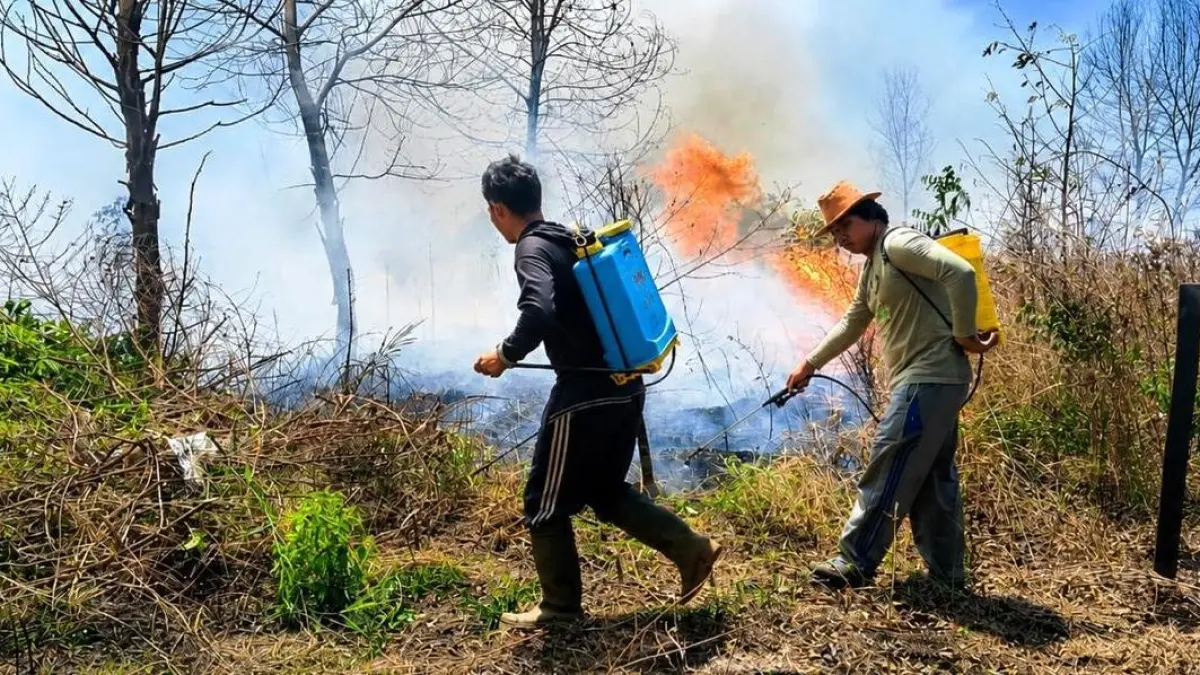 Petani sawit mandiri di Kecamatan Mentaya Hilir Utara Kabupaten Kotawaringin Timur (Kotim), ketika berupaya melawan kobaran api yang akan menjalar ke lahan mereka dengan peralatan seadanya, bulan Agustus tadi. (dok.radarsampit)