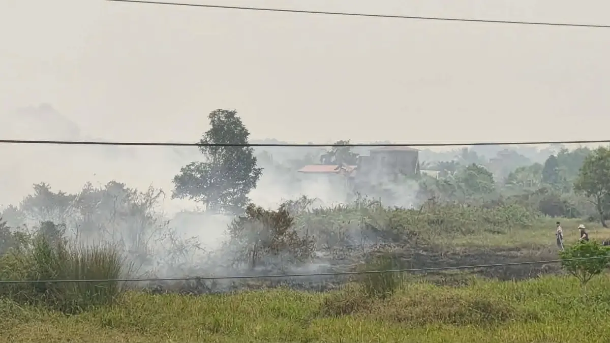 Kebakaran yang melanda lahan di dekat kawasan Bandara Tjilik Riwut Palangka Raya, Kamis (3/9). Asap yang ditimbulkan masih mengganggu aktivitas penerbangan, sehingga harus mendapatkan pengawasan ketat.(dodi/radarsampit)