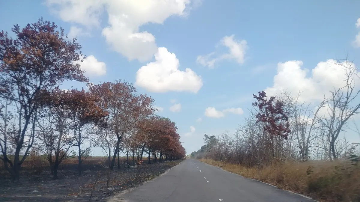 Kecamatan Pantai Lunci menjadi wilayah dengan terbanyak titik api. (Fauziannur/Radar Sampit)&nbsp; 
