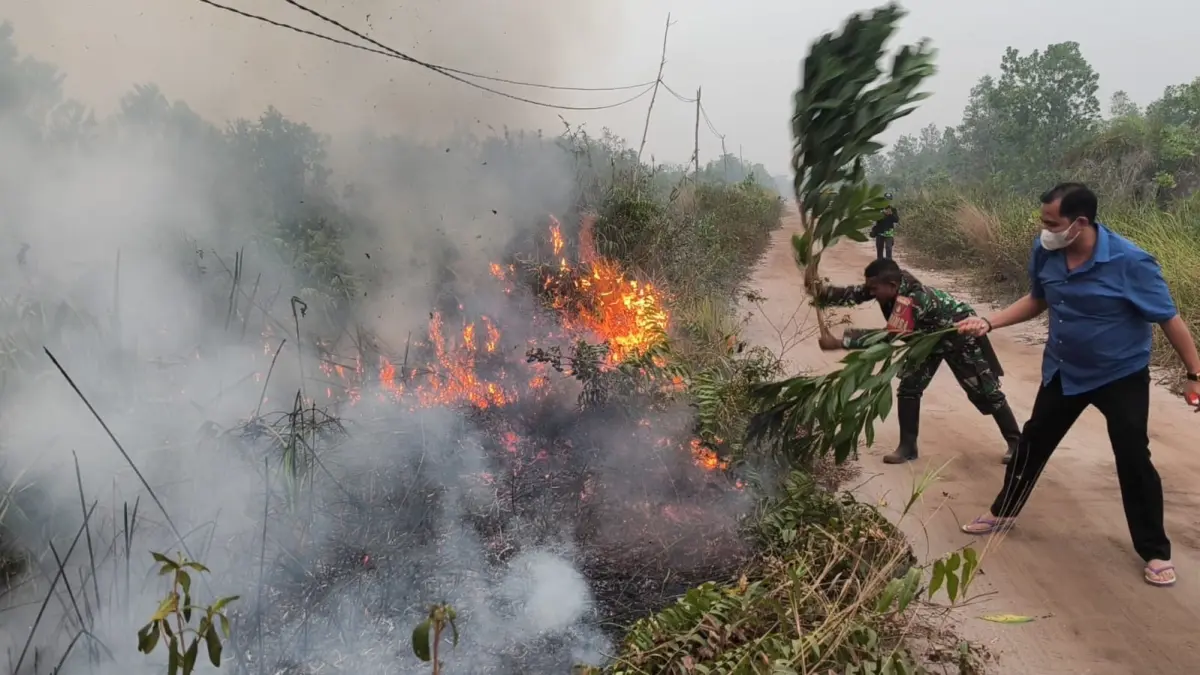 Upaya pemadaman kebakaran lahan di kawasan Jalan Nagasari, Kelurahan Bukit Tunggal, Kecamatan Jekan Raya, Palangka Raya yang menggunakan dedaunan di batang kayu, Jumat (4/9).(dodi/radarsampit)