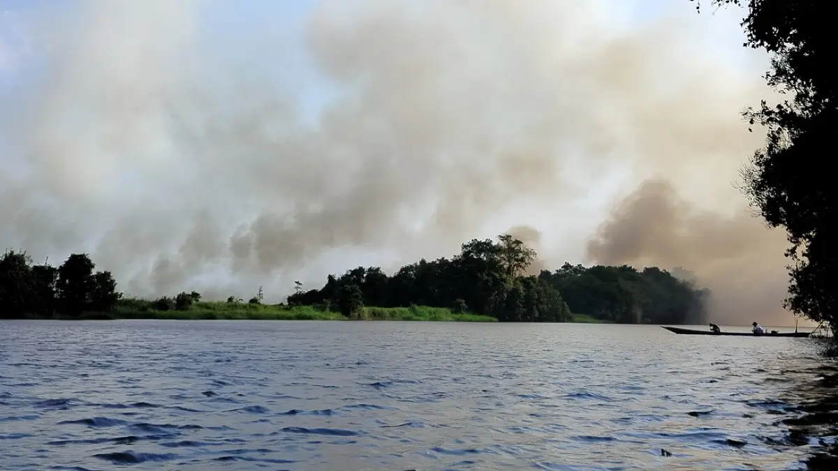 Api dengan kepulan asap hitam nampak di area bantaran Sungai Jelai, Kabupaten Sukamara. (Fauziannur/Radar Sampit) &nbsp;