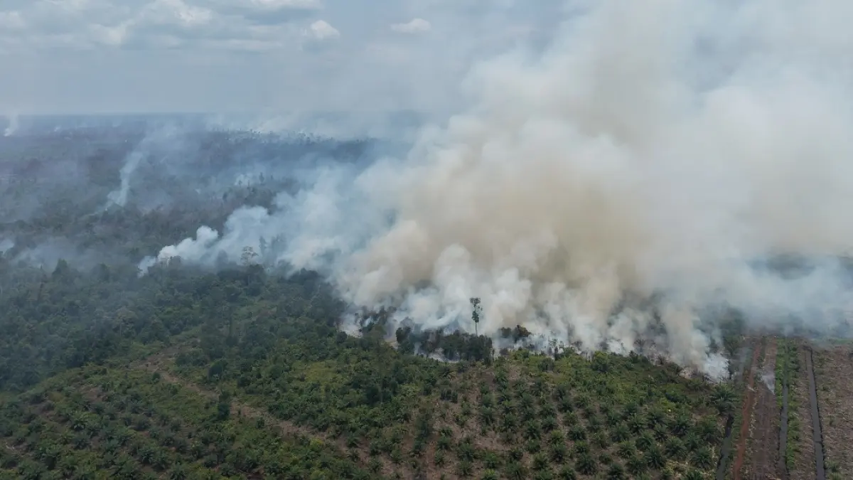 Pantauan udara kondisi karhutla di Jalan Ahmad Shaleh kilometer 19, ruas Pangkalan Bun menuju Kotawaringin Lama, Minggu 6 September 2026. (ist)&nbsp;