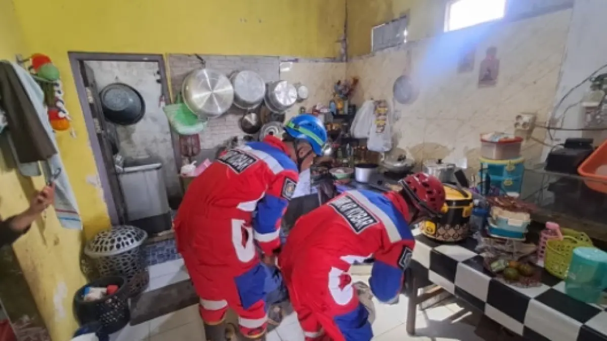Dua personel Damkar mengevakuasi ular king kobra dari dapur warga di Jalan Kopong, Kelurahan Baru, Kecamatan Arsel, Kabupaten Kobar, Selasa 8 September 2026.&nbsp;(Damkar Kobar)