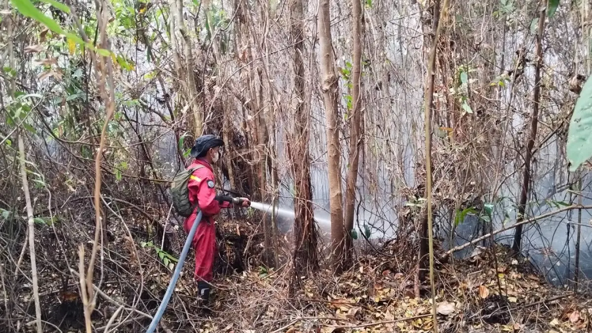 Kebakaran hutan di kawasan Taman Nasional Tanjung Puting (TNTP), khususnya wilayah Teluk Pulai dan Sungai Cabang. (ist) 
