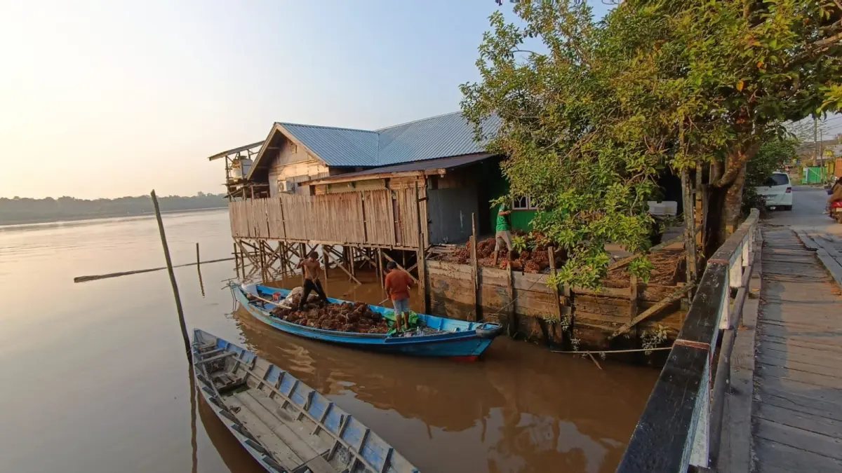 Kondisi Sungai Mentaya saat surut, jika hingga Oktober tidak ada hujan maka air laut bisa sampai ke perairan wilayah perkotaan. (Usay Nor Rahmad/Radar Sampit)&nbsp;