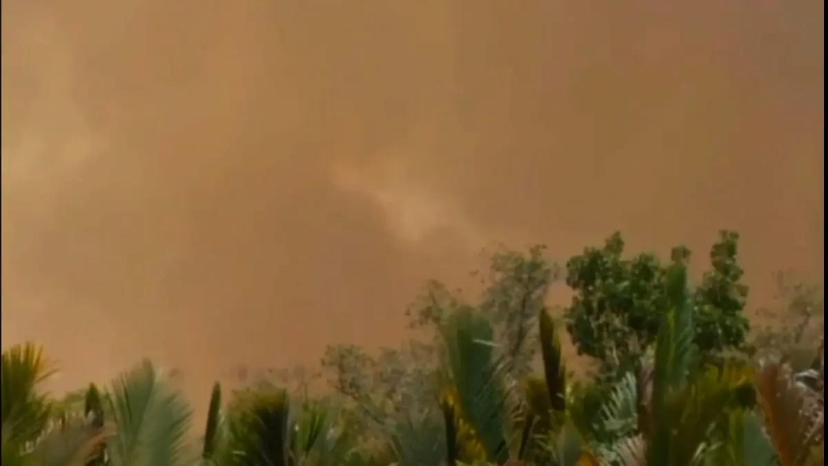 KEBAKARAN: Potongan video viral yang menarasikan bahwa kawasan Taman Nasional Tanjung Puting (TNTP) di Kobar, Kalteng Terbakar viral di media sosial. (Warga/Radar Sampit)