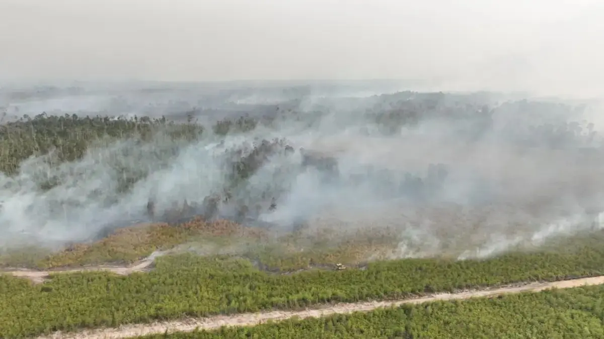 Kondisi karhutla di Kabupaten Bulungan, Provinsi Kalimantan Utara, Selasa (18/8). (BPBD Kabupaten Bulungan)