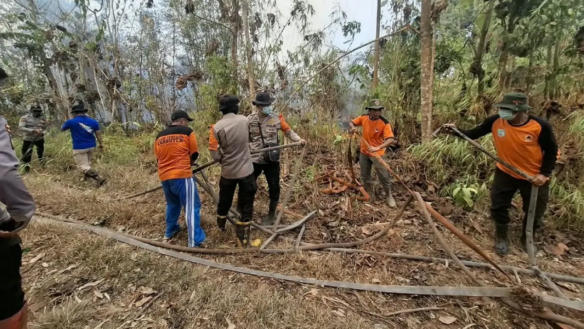 Luas lahan yang terbakar akibat kebakaran hutan dan lahan di Kabupaten Lamandau mencapai 173,05 hektare. &nbsp;(Ria/Radar Sampit)&nbsp;