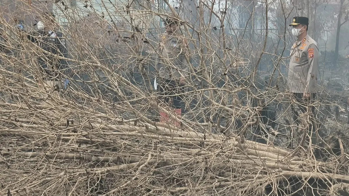Puing-puing pepohonan di lahan yang telah hangus terbakar di wilayah Kota Palangka Raya. (dodi/radarsampit)
