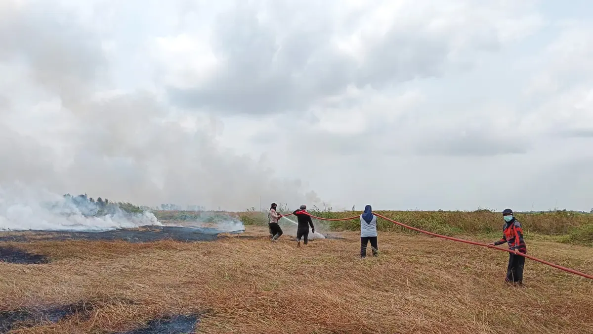 Tim gabungan berjibaku memadamkan kebakaran lahan di Jalan Cilik Riwut, Kecamatan Seruyan Hilir Timur, Minggu (13/9). (Rifani/Radar Sampit)