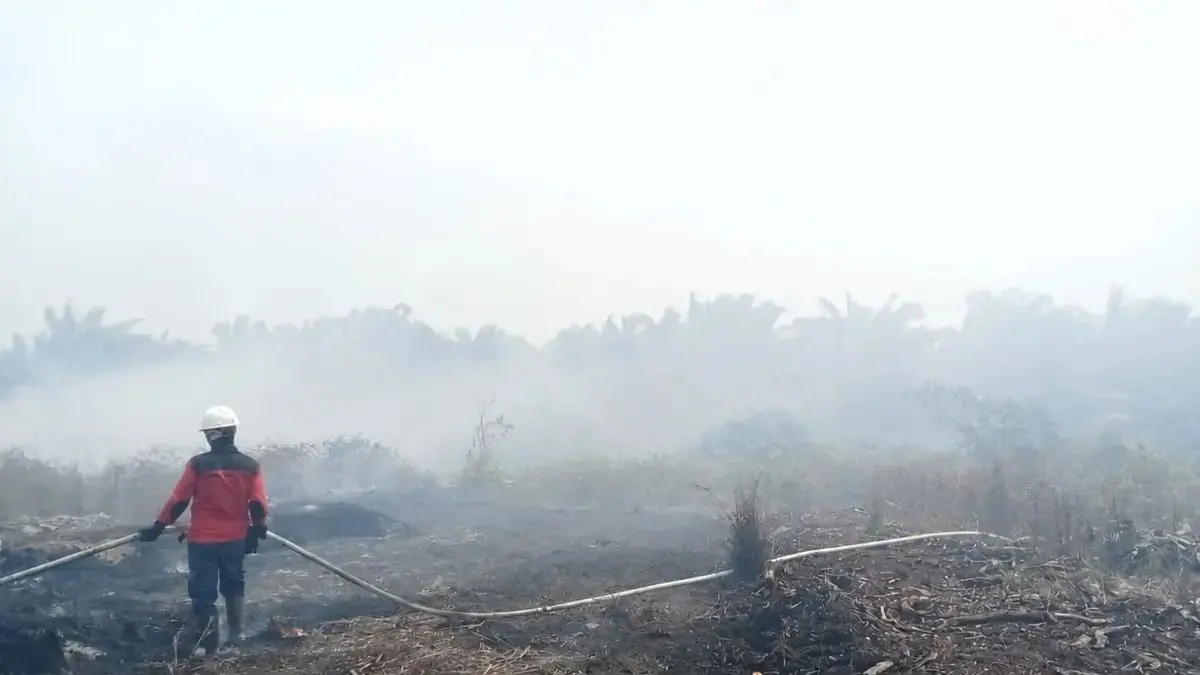 Ilustrasi kebakaran hutan dan lahan (karhutla). (Istimewa)