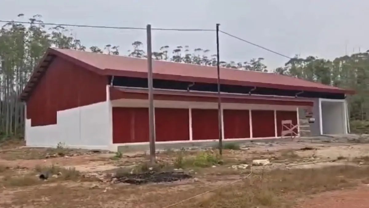 KDMP: Kondisi Koperasi Desa Merah Putih di Desa Perigi Raya, Lamandau.