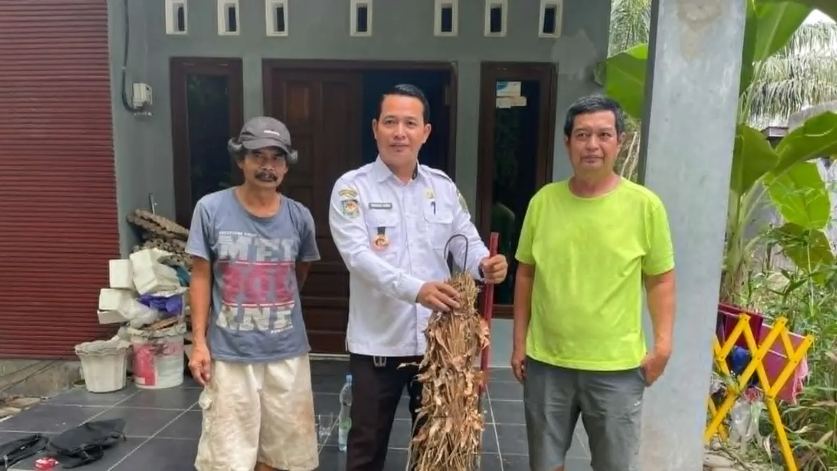 Lurah Langkai Muhammad Abidin saat memperlihatkan benda temuan warga  Jalan Temanggung Kanyapi III, Kelurahan Langkai, berupa gulungan rumput kering dan besi yang diduga berkaitan dengan upaya pembakaran lahan kosong.(dodi/radarsampit)