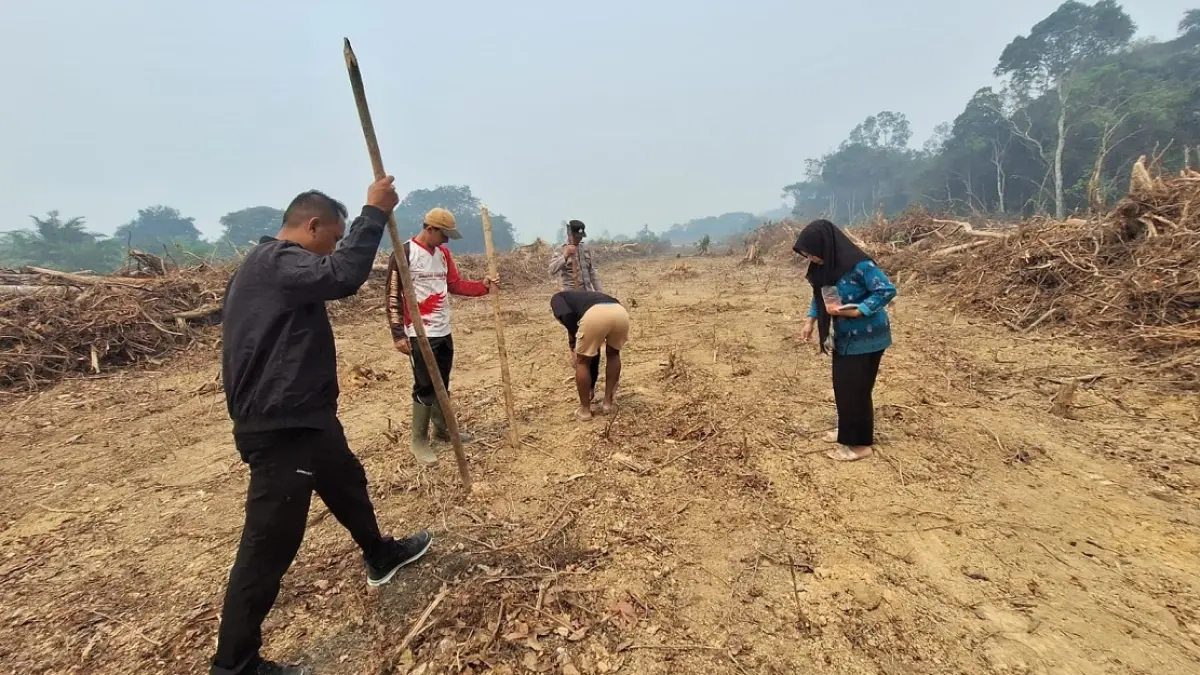 Pemerintah desa dan masyarakat menanam jagung di lahan seluas 5 hektare di Desa Pembuang Hulu I, Kecamatan Hanau, Minggu (20/9). &nbsp; (Rifani/Radar Sampit)