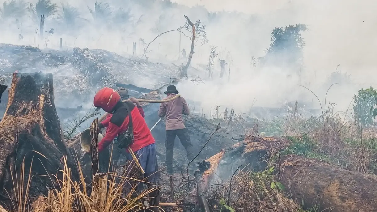 Proses pemadaman karhutla oleh satgas di wilayah konsesi PT Grace Putri Perdana. (ist)