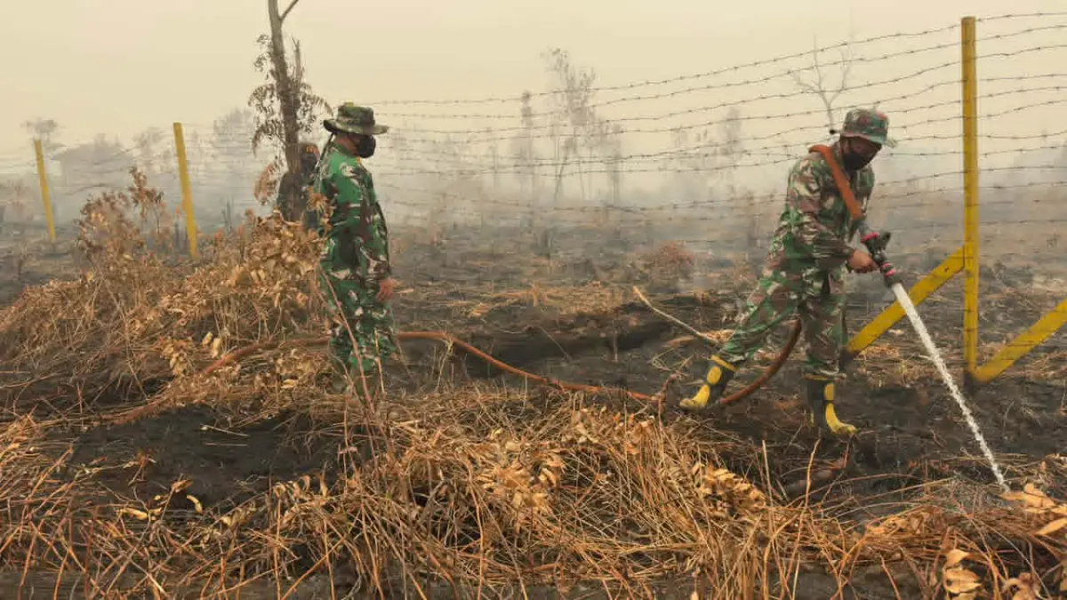 Upaya pendinginan lahan gambut yang telah hangus terbakar di sekitar Kota Palangka Raya, agar tak lagi mengeluarkan bara api. (dok/dodi/radarsampit)