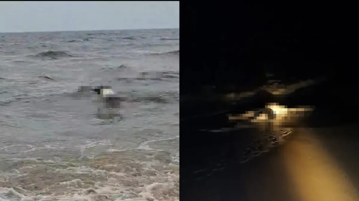 Dua jenazah ditemukan terdampar di kawasan pantai RT 2, Desa Sungai Tabuk, Kecamatan Pantai Lunci, Kabupaten Sukamara, Kalimantan Tengah, Jumat (25/9/2026) dini hari. (istimewa)