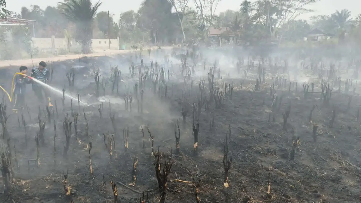 TERBAKAR : Tim Pemadam kebakaran dengan pemandangan lahan terbakar di kota Palangka Raya. (Dodi/Radar Sampit)