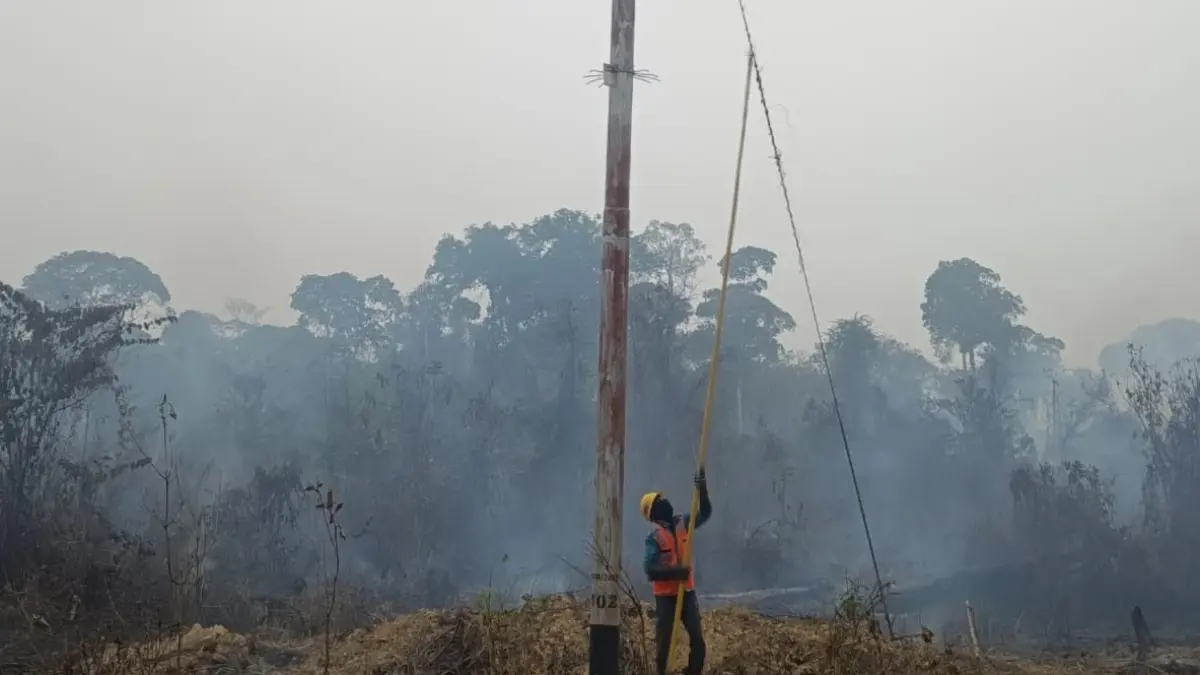 Petugas PLN mengecek jaringan listrik di area lahan yang terbakar, Desa Tamiang, Lamandau, Jumat (25/9).&nbsp; (Ria/Radar Sampit)