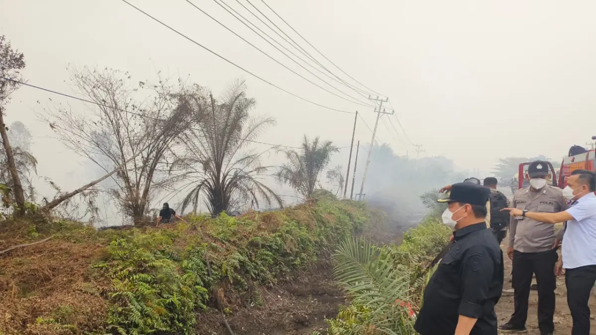 Bupati Kotim, Halikinnor saat meninjau lokasi karhutla di Jalan Tjilik Riwut Sampit.  (Akbar/Radar Sampit)