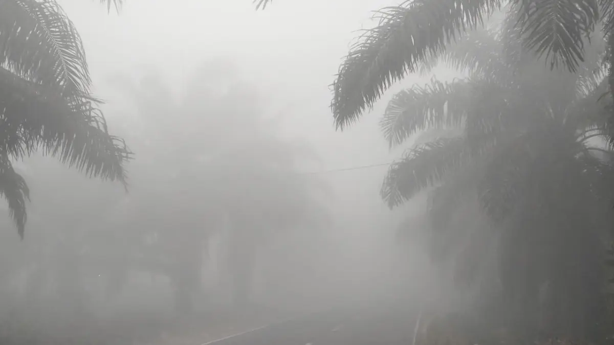 Kabut asap pekat yang terjadi di ruas jalan HM Arsyad Sampit, belum lama ini.  (Akbar/Radar Sampit)