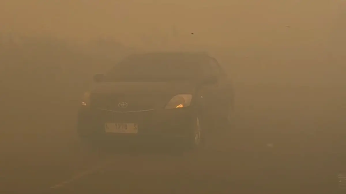 Kondisi jalan menuju Kotawaringin Lama Kilometer 27 tertutup kabut asap akibat Karhutla, Jumat 2 Oktober 2026. (ist)