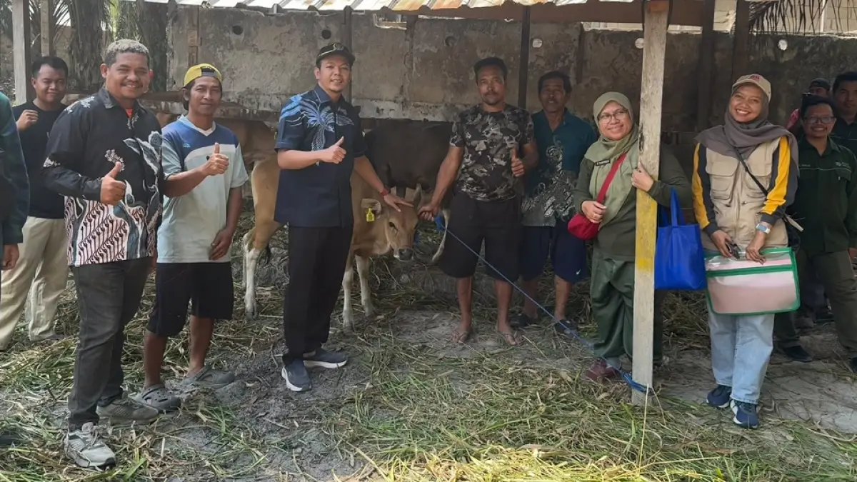 Anggota DPRD Kabupaten Kotawaringin Barat (Kobar) dari daerah pemilihan (Dapil) II&nbsp;Reqsi Setiawan menyerahkan bantuan sapi. (Syamsudin/Radar Sampit)