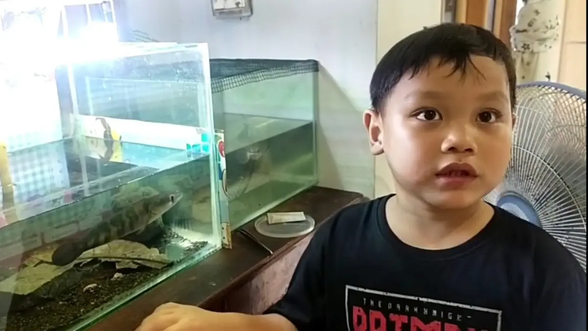 IKAN PEYANG: Seorang anak sedang menunjukkan ikan peyang peliharaannya. (Rahma/Radar Sampit)