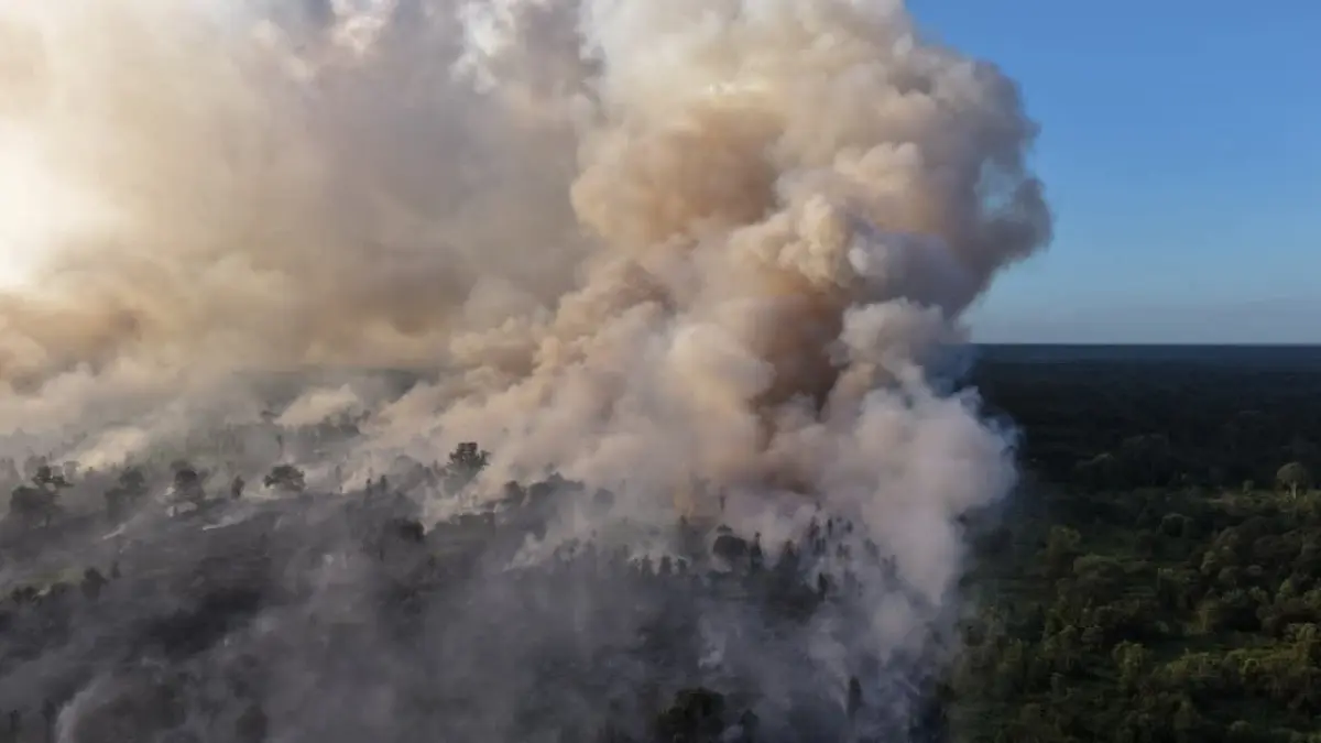 Kebakaran hutan dan lahan di wilayah Kecamatan Seranau, belum lama ini. (Istimewa)