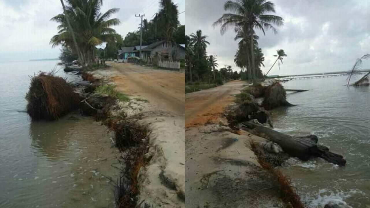 TERANCAM ABRASI: Kawasan pesisir Kotawaringin Barat yang terancam abrasi pantai. Sedikitnya ada 800 rumah yang terancam abrasi pantai di kabupaten tersebut. (ISTIMEWA/RADAR PANGKALAN BUN)