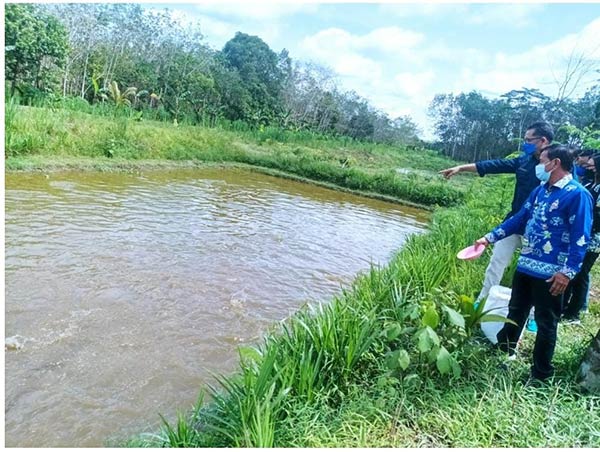 LUAS: Kepala Dislutkan Kalteng Darlinsjah memantau lokasi pengembangan kampung budidaya ikan di Pulang Pisau. (IST/RADAR SAMPIT)