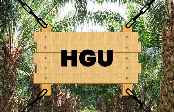 Ilustrasi HGU (dok.radarsampit)