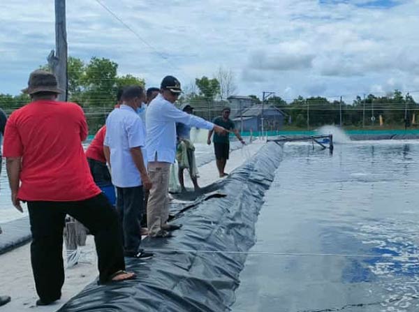 BUDIDAYA UDANG: Wakil Bupati Sukamara Ahmadi dan rombongan saat meninjau tambak udang vaname milik Desa Sungai Damar. (FAUZIANUR/RADAR SAMPIT)