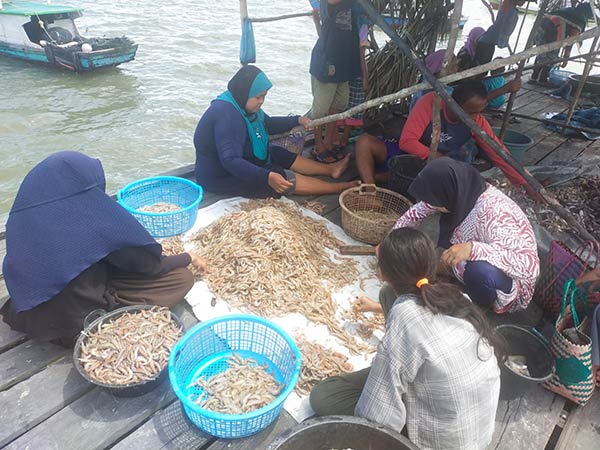 PANEN UDANG: Para ibu sedang memilah udang hasil tangkapan nelayan sesuai size sebelum dijual. (FAUZIANUR/RADAR SAMPIT)