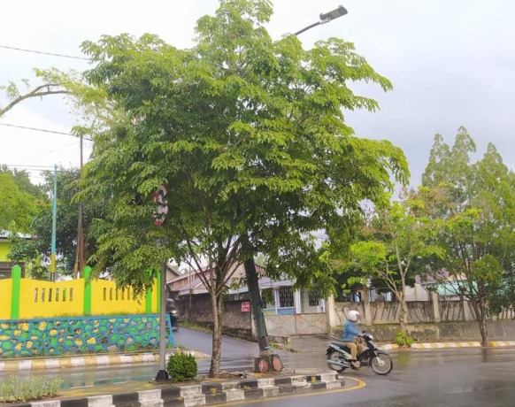 PENERANGAN JALAN UMUM: Tiang PJU di Jalan Pangeran Diponegoro, Kecamatan Arut Selatan, Kabupaten Kotawaringin Barat nyaris ambruk akibat ditabrak kendaraan baru-baru ini. (ISTIMEWA/RADAR PANGKALAN BUN)